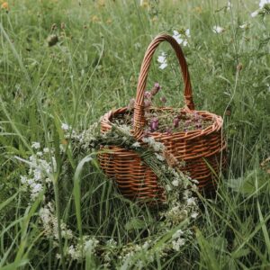 Naladění se na červen